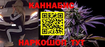 сатива Бузулук