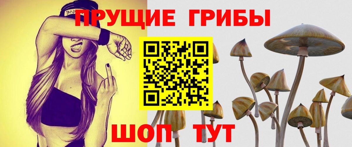 Псилоцибиновые грибы ЛСД Троицк